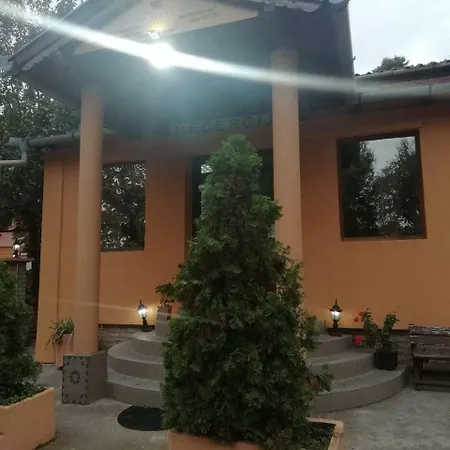 Palicka Kruna 2*